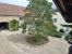 property 12 Rooms for sale on Beaune (21200)